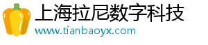 上海拉尼数字科技