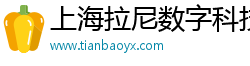 上海拉尼数字科技